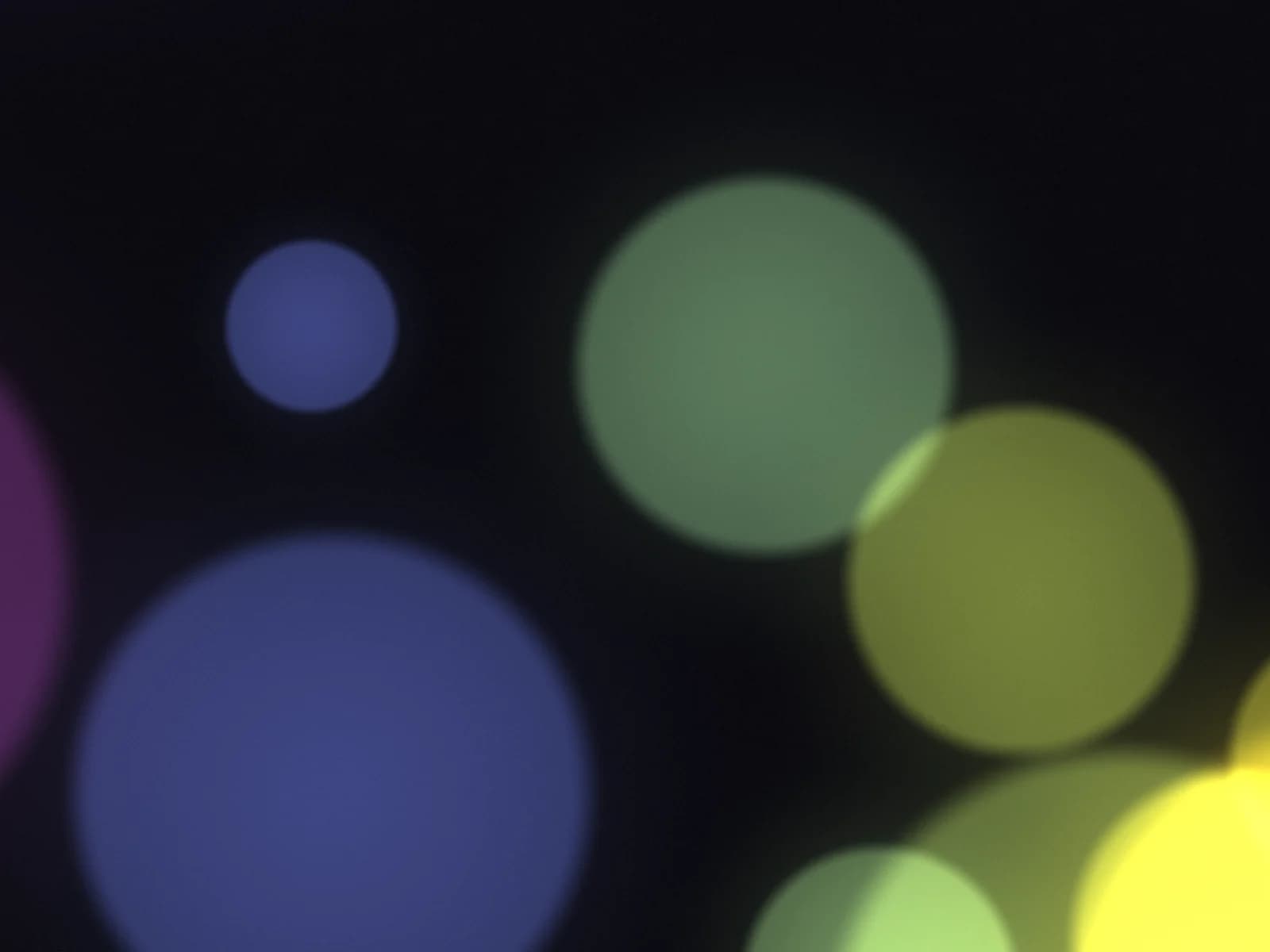 Light Studies